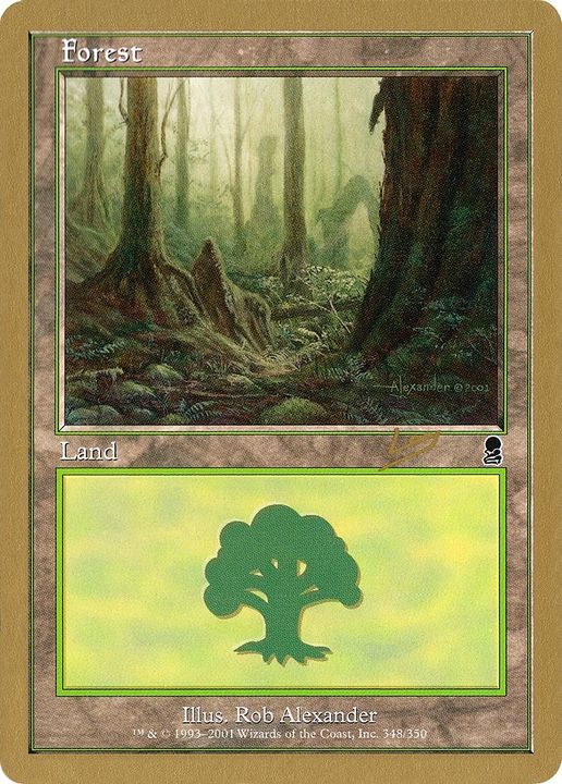 Forest in the group Magic the Gathering / Types / Land / Forest at Proxyprinters.com (33153)