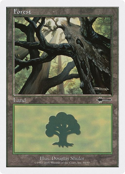 Forest in the group Magic the Gathering / Types / Land / Forest at Proxyprinters.com (33635)