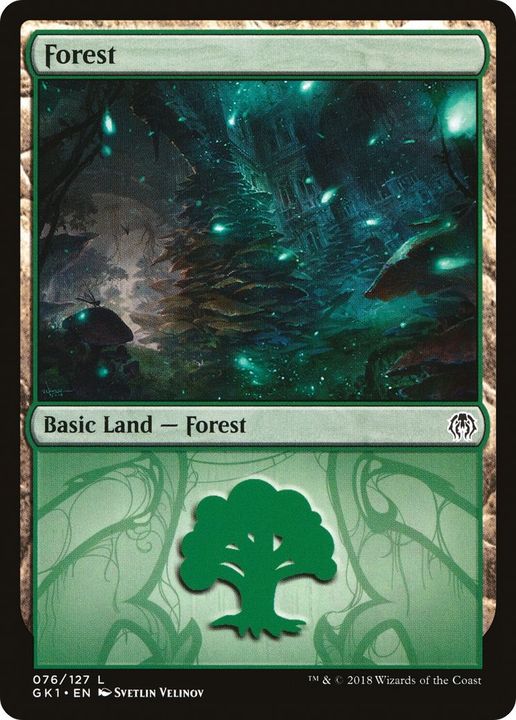 Forest in the group Magic the Gathering / Types / Land / Forest at Proxyprinters.com (33795)