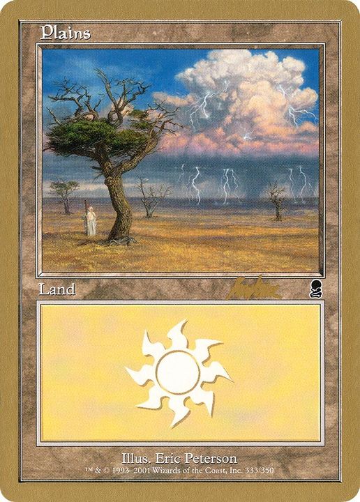 Plains in the group Magic the Gathering / Types / Land / Plains at Proxyprinters.com (33990)