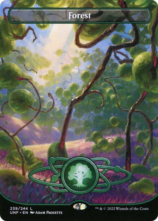 Forest in the group Magic the Gathering / Types / Land / Forest at Proxyprinters.com (34324)