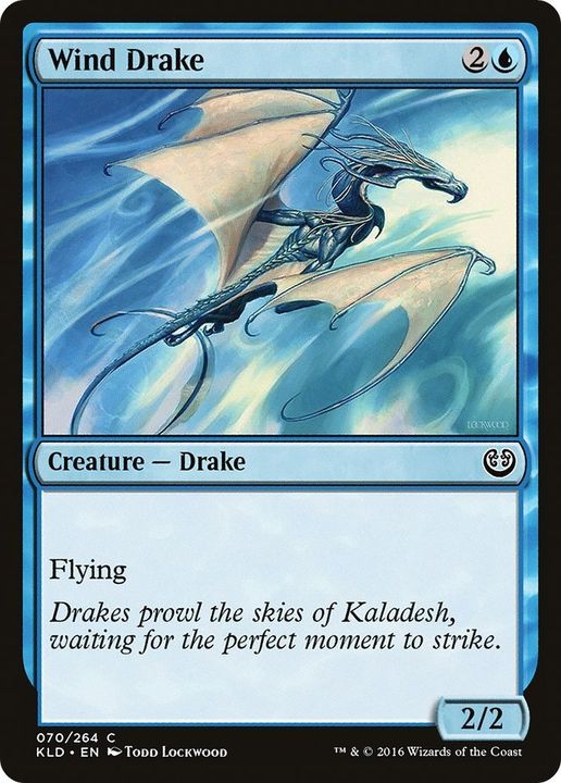 Wind Drake in the group Advanced search at Proxyprinters.com (34419)