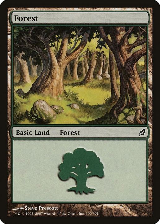 Forest in the group Magic the Gathering / Types / Land / Forest at Proxyprinters.com (34879)