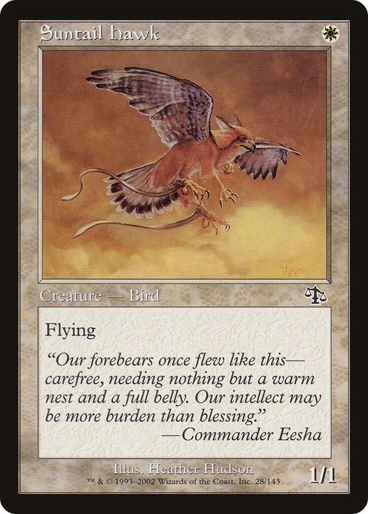 Suntail Hawk in the group Magic the Gathering / Types / Colors / White at Proxyprinters.com (35018)