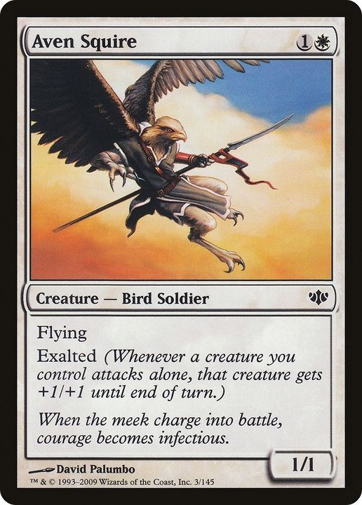 Aven Squire in the group Magic the Gathering / Types / Colors / White at Proxyprinters.com (35165)