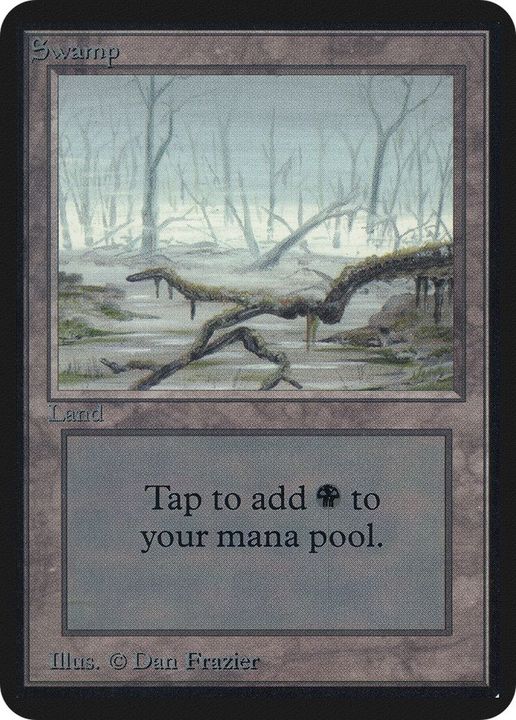 Swamp in the group Magic the Gathering / Types / Land / Swamp at Proxyprinters.com (35636)