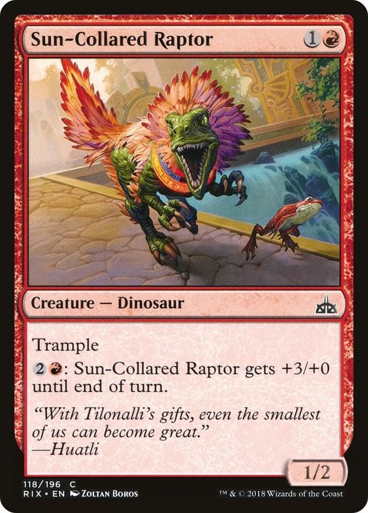 Sun-Collared Raptor in the group Magic the Gathering / Types / Colors / Red at Proxyprinters.com (36178)