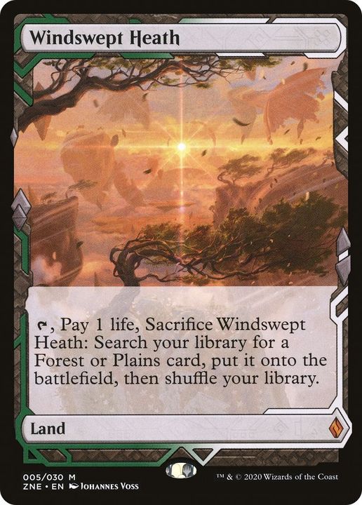 Windswept Heath in the group Magic the Gathering / Types / Colors / Colorless at Proxyprinters.com (36459)