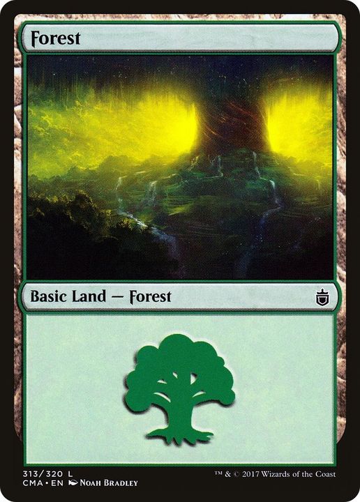 Forest in the group Magic the Gathering / Sets / Commander Anthology at Proxyprinters.com (3662)