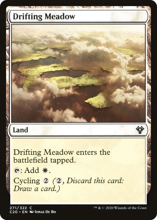 Drifting Meadow in the group Magic the Gathering / Types / Colors / Colorless at Proxyprinters.com (36880)