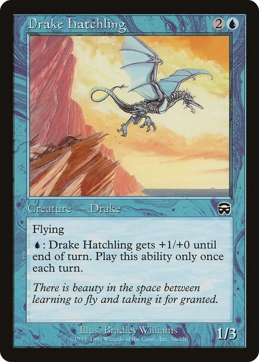 Drake Hatchling in the group Advanced search at Proxyprinters.com (36910)