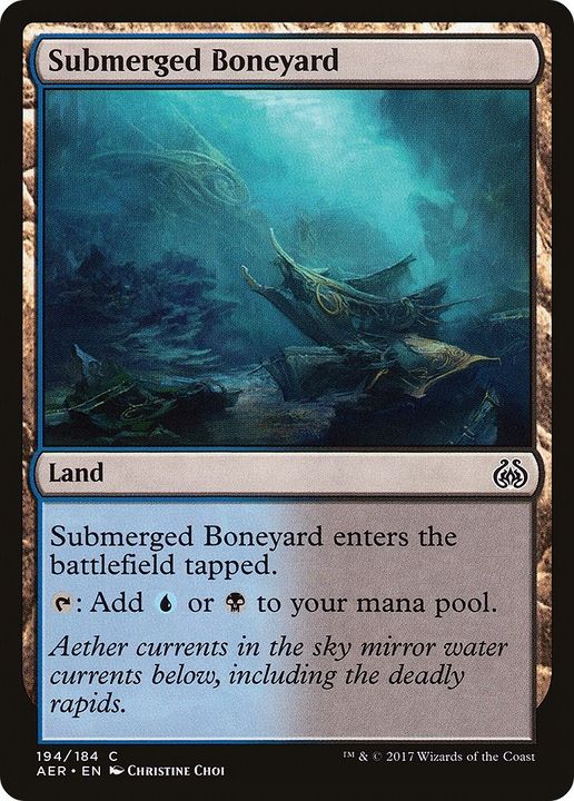 Submerged Boneyard in the group Singles at Proxyprinters.com (3714)