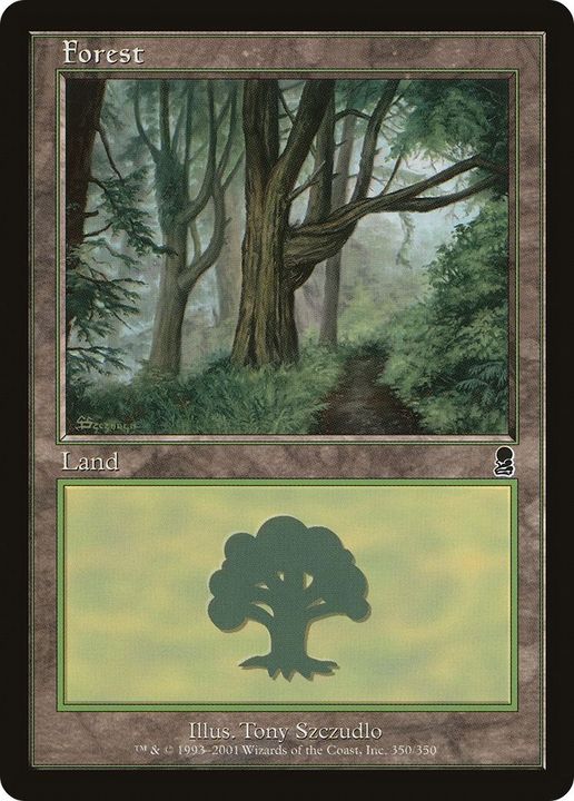 Forest in the group Magic the Gathering / Types / Land / Forest at Proxyprinters.com (37258)