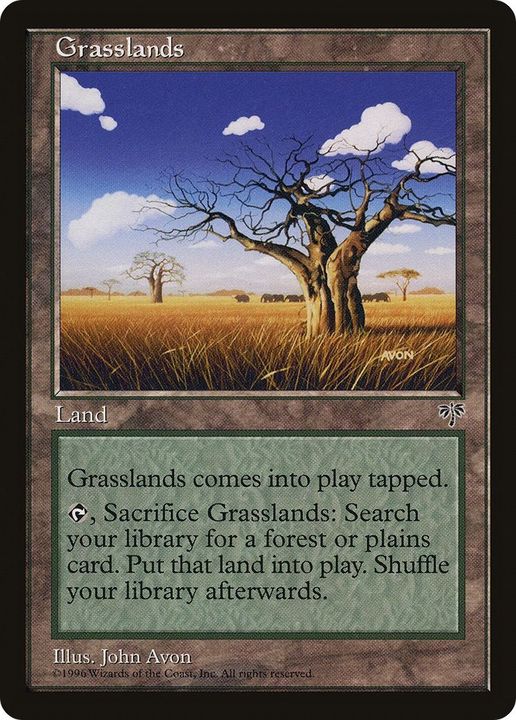 Grasslands in the group Magic the Gathering / Types / Colors / Colorless at Proxyprinters.com (37274)