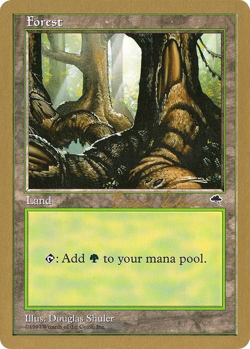 Forest in the group Magic the Gathering / Types / Land / Forest at Proxyprinters.com (37670)