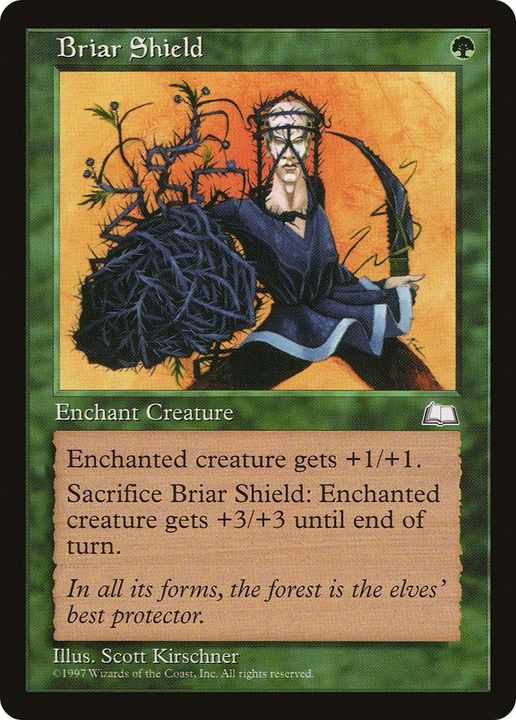 Briar Shield in the group Magic the Gathering / Sets / Welcome Deck 2016 at Proxyprinters.com (38020)