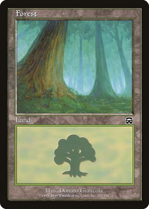 Forest in the group Magic the Gathering / Sets / Midnight Hunt Commander at Proxyprinters.com (38520)