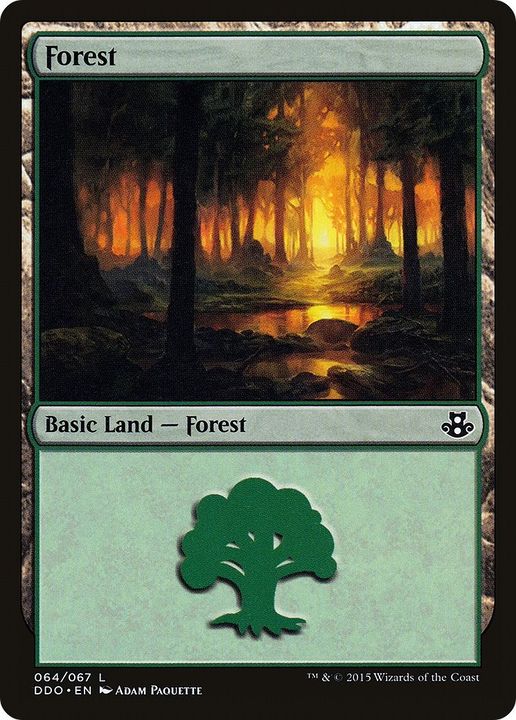 Forest in the group Magic the Gathering / Sets / Duel Decks: Elspeth vs. Kiora at Proxyprinters.com (38772)