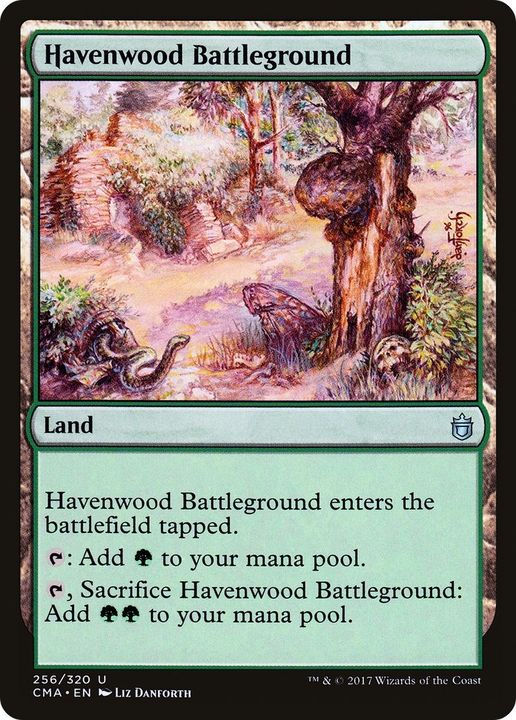 Havenwood Battleground in the group Magic the Gathering / Types / Colors / Colorless at Proxyprinters.com (39068)