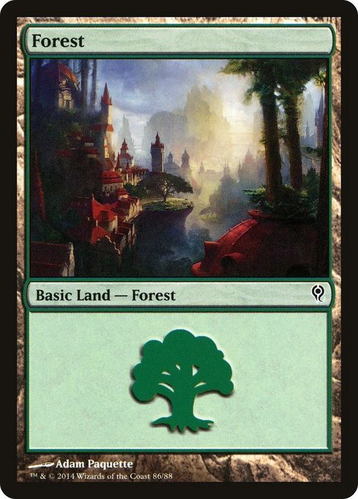 Forest in the group Magic the Gathering / Sets / Duel Decks: Jace vs. Vraska at Proxyprinters.com (39520)