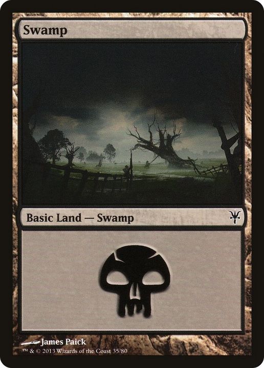 Swamp in the group Magic the Gathering / Sets / Duel Decks: Sorin vs. Tibalt at Proxyprinters.com (39561)