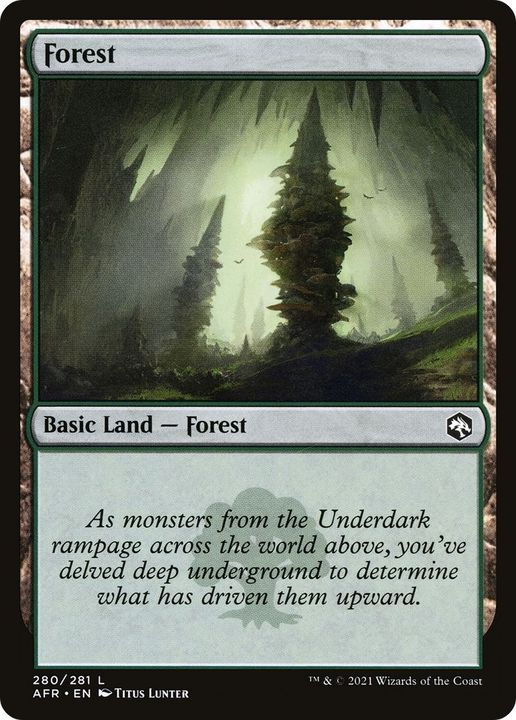 Forest in the group Magic the Gathering / Types / Land / Forest at Proxyprinters.com (39747)