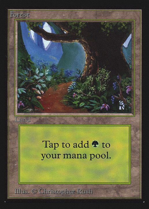 Forest in the group Magic the Gathering / Types / Land / Forest at Proxyprinters.com (39883)