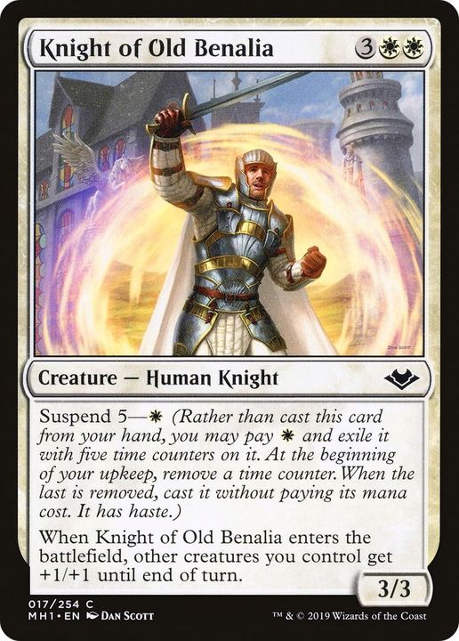 Knight of Old Benalia in the group Singles at Proxyprinters.com (40006)