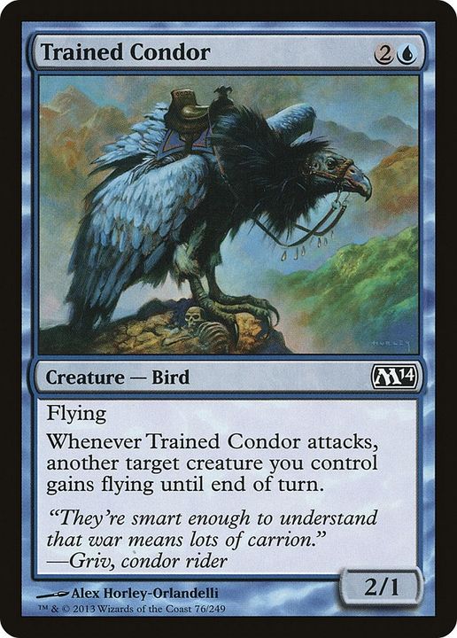 Trained Condor in the group Magic the Gathering / Types / Colors / Blue at Proxyprinters.com (40186)