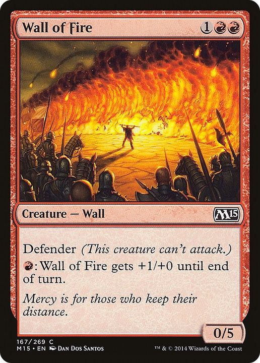 Wall of Fire in the group Advanced search at Proxyprinters.com (40724)