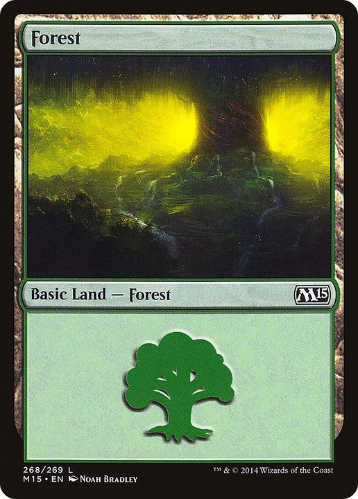 Forest in the group Magic the Gathering / Sets / Magic 2015 Tokens at Proxyprinters.com (40782)