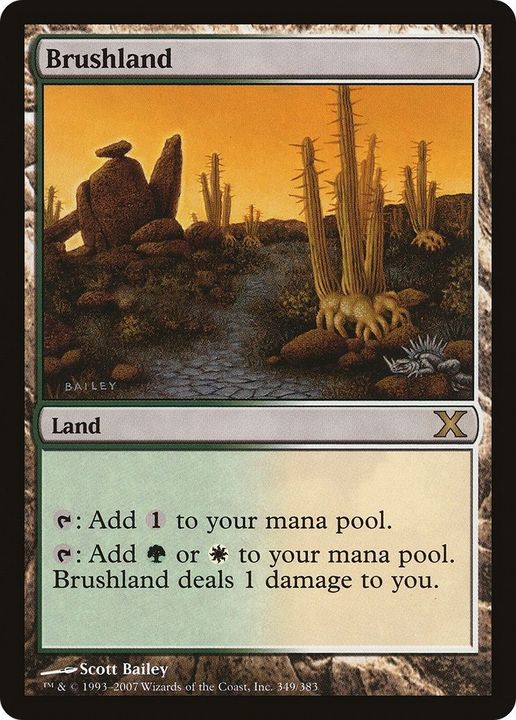 Brushland in the group Magic the Gathering / Sets / Tenth Edition at Proxyprinters.com (41125)