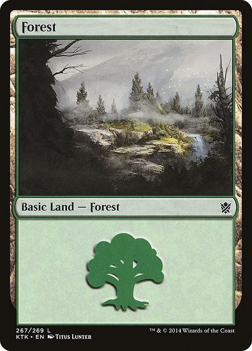 Forest in the group Magic the Gathering / Types / Land / Forest at Proxyprinters.com (41647)