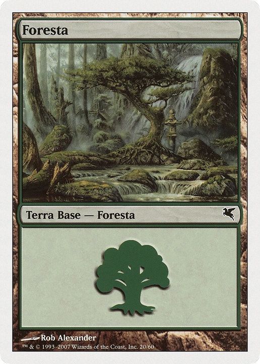 Forest in the group Magic the Gathering / Sets / Salvat 2005 at Proxyprinters.com (41674)