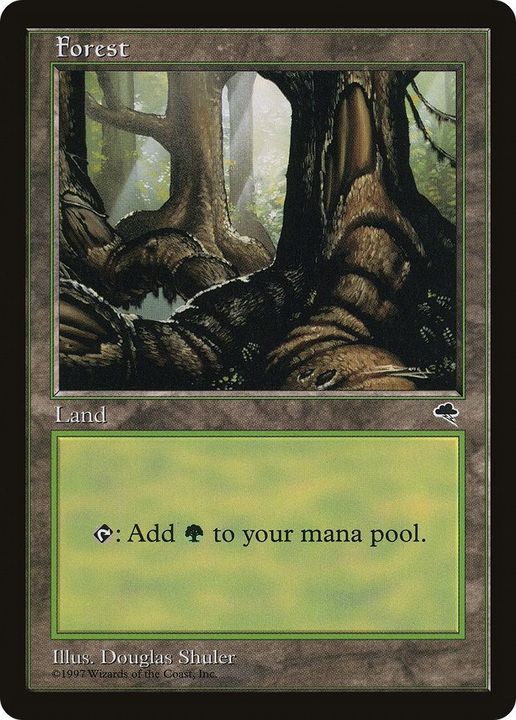 Forest in the group Singles at Proxyprinters.com (41867)