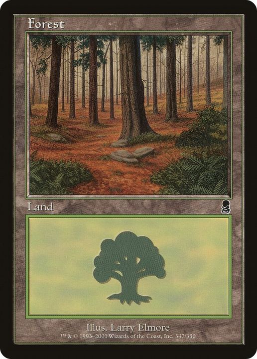 Forest in the group Magic the Gathering / Types / Land / Forest at Proxyprinters.com (41975)