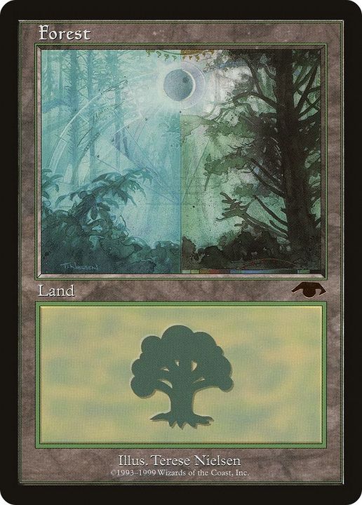 Forest in the group Magic the Gathering / Types / Land / Forest at Proxyprinters.com (42587)