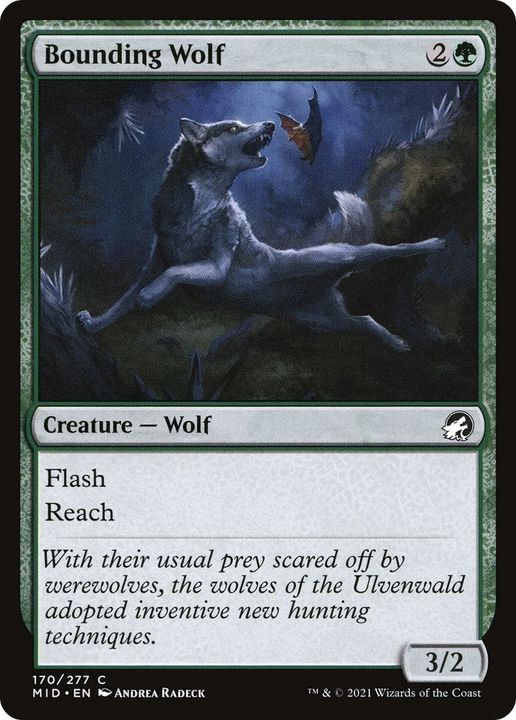 Bounding Wolf in the group Magic the Gathering / Sets / Innistrad: Midnight Hunt at Proxyprinters.com (42665)