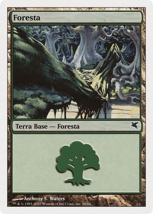 Forest in the group Magic the Gathering / Sets / Salvat 2005 at Proxyprinters.com (42671)