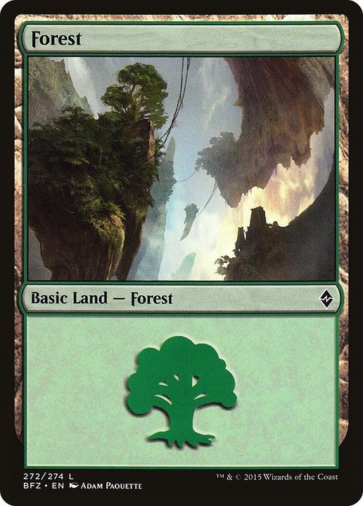 Forest in the group Magic the Gathering / Sets / Battle for Zendikar Tokens at Proxyprinters.com (43130)