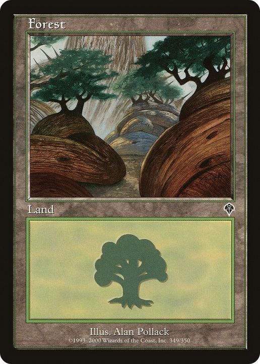 Forest in the group Magic the Gathering / Sets / Invasion at Proxyprinters.com (4325)