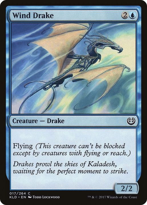 Wind Drake in the group Advanced search at Proxyprinters.com (43367)