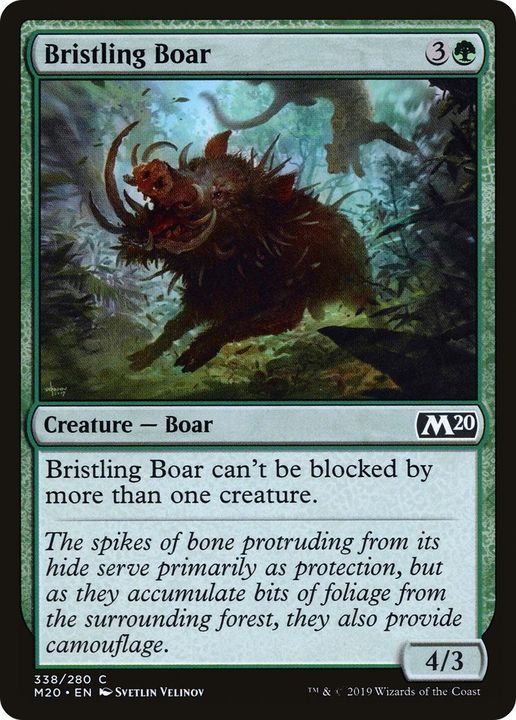 Bristling Boar in the group Magic the Gathering / Types / Colors / Green at Proxyprinters.com (43728)