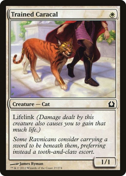 Trained Caracal in the group Magic the Gathering / Types / Colors / White at Proxyprinters.com (44280)