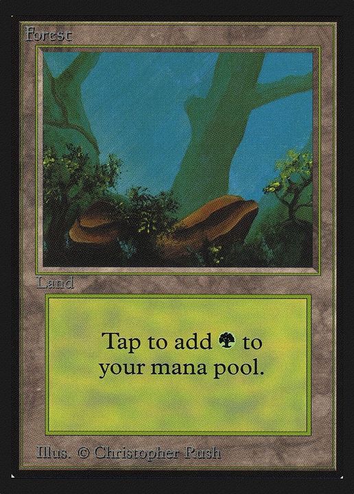 Forest in the group Magic the Gathering / Sets / Intl. Collectors' Edition at Proxyprinters.com (45058)