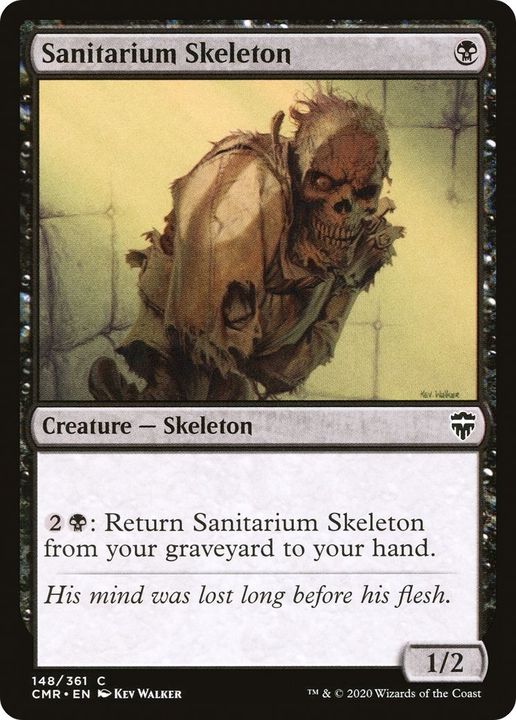 Sanitarium Skeleton in the group Advanced search at Proxyprinters.com (45230)