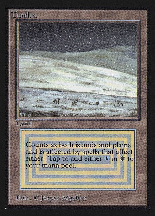 Tundra in the group Magic the Gathering / Types / Land / Island at Proxyprinters.com (45561)