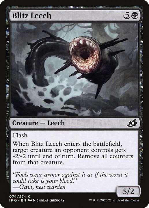 Blitz Leech in the group Advanced search at Proxyprinters.com (45725)