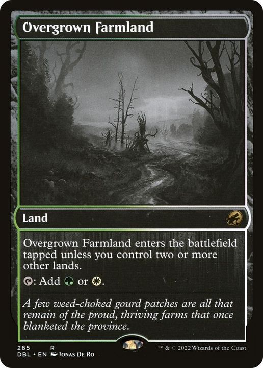 Overgrown Farmland in the group Singles at Proxyprinters.com (4603)