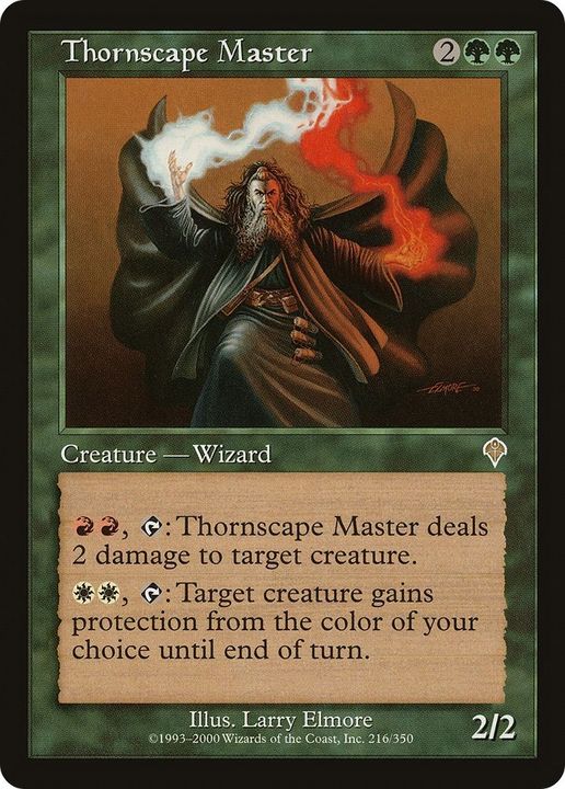 Thornscape Master in the group Magic the Gathering / Types / Creatures / Wizard at Proxyprinters.com (46067)